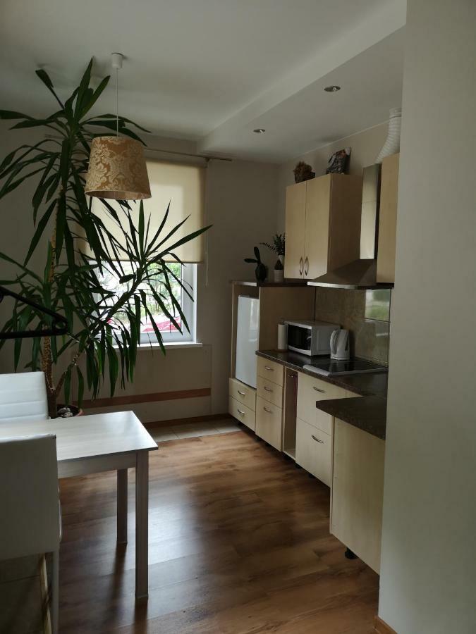 Jaukus Butas Siauliu Miesto Centre Apartment Siauliai  Exterior photo